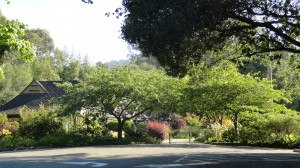 Approaching the beautiful Tilden Park wedding site at around 8:30am!