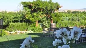 The vineyards in the background and close-up flowers done by Palm Event Center always make for an attractive setting.