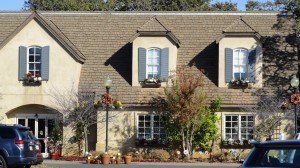 I've never seen such a beautful facade for a nursery. And WHAT a nursery-Alden Lane Nursery. An Elegant Touch of Strings performed as a duo 11/'13
