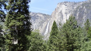 Yosemite's Ahwahnee Hotel Wedding, An Elegant Touch of Strings Quartet, Trio,Duo, Solo