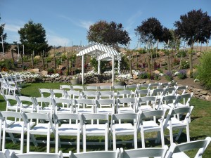 Our violinist with An Elegant Touch of Strings caught this photo well before the guests arrived. 