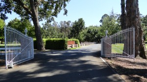 Arriving at the Diablo Country Club. An Elegant Touch of Strings performed as a trio on this beautiful sunny day