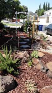 Here's a favorite view of mine. I wanted the garden to be accessible with paths as much as possible. Being on sand I coudln't use the natural ground well as some gardens do wo I used these stepping stones