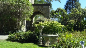 I liked the stone work here with the striking green as a nice contrast. An Elegant Touch of Strings