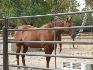 There's a nearby ranch home by the parking lot. An Elegant Touch of Strings trio.