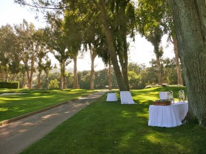 An Elegant Touch of Strings trio at the Diablo Country Club