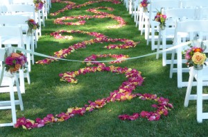 These rose pedals say it all! An Elegant Touch of strings can perform as a solo, string duo, string trio, string quartet