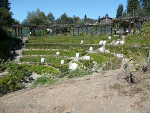 Berkeley Rose Garden