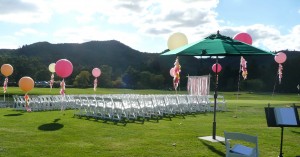 An Elegant Touch of Strings performed as a trio at this fun wedding. 