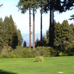 Gorgeous view from our Mountain Winery ceremony location