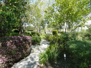 A windy path at Rios Lovell. We can perform as a string quartet, string trio, string duo and solo violin. 