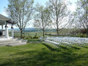 Our violinist Janet caught this glorious picture. As you can see the wedding was in lilac and white. 