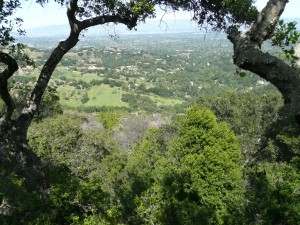 I'll guess that this view is a good 50 or more miles of the incredible Southern Bay Area. An Elegant Touch of Strings performed for this beautiful Spring wedding in 2015