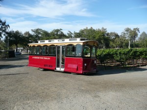 The Livermore Wine Trolly was hired to see that the guests all arrived on time. An Elegant Touch of Strings can perform as a string quartet, string trio, string duo and violin solo for your wedding or special event. 