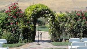 We performed as a string trio for our Purple Orchid Inn wedding this weekend. 