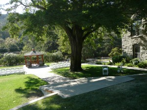 Here's a nice view of the area where our string musicians usually perform and walkway for the procession, gazebo in the distance.