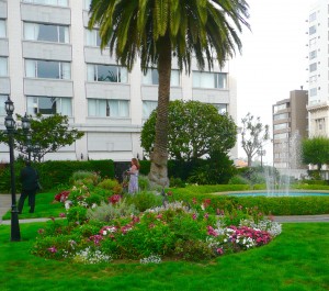 One of the many gardens at the Fairmont Hotel