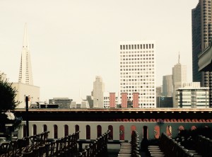 A partial view of the skyline from the Fairmont Hotel roof top garden