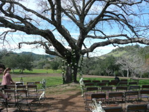 Calistoga wedding where we performed as a string quartet