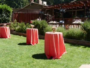 An Elegant Touch of Strings performed as a string trio for this Mountain Terrace wedding