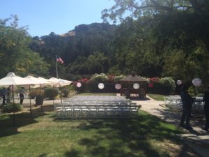 An Elegant Touch of Strings performs as a string quartet for this wedding at Elliston Winery in Sunol